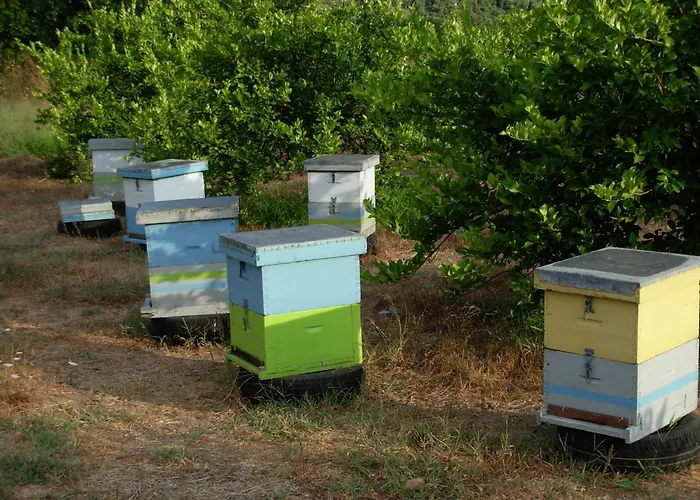 Michele's Flat Apartament Chania (Crete)