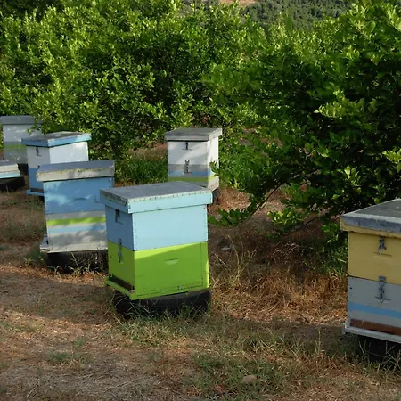 Michele's Flat Апартаменты Ханья